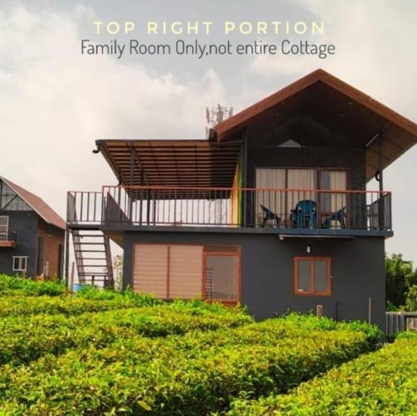 Cloud Canopy - Tea Garden Family Pool Cottage In Вагамон Номер фото